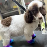 processed/86c61cb1-b522-4cf6-bd7c-4bcc539c26ff/facility/e63e5a9e-d0cb-4233-9f8f-994ba0f1397f