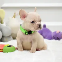 processed/86da4826-bd72-4e42-87f2-91581cd403c0/listing/577f9dfa-da05-426a-905d-11fa170cb210/77e288e6-d89c-4b3f-8efe-31be32f15476