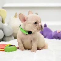 processed/86da4826-bd72-4e42-87f2-91581cd403c0/listing/577f9dfa-da05-426a-905d-11fa170cb210/bdd669fe-665d-4fc4-ab76-a1400f35269d