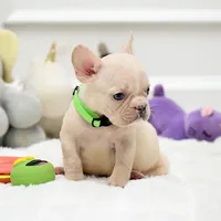 processed/86da4826-bd72-4e42-87f2-91581cd403c0/listing/577f9dfa-da05-426a-905d-11fa170cb210/decc6879-3551-46f3-be85-de72aa42c5b5