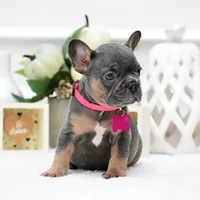 processed/86da4826-bd72-4e42-87f2-91581cd403c0/listing/6de8a510-cb22-4c4e-b5a5-2fa9f664b636/088a6af3-5ae8-452f-a0e5-749f273da0fd