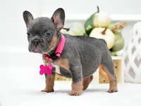 processed/86da4826-bd72-4e42-87f2-91581cd403c0/listing/6de8a510-cb22-4c4e-b5a5-2fa9f664b636/78221c1a-f307-4956-9534-81c462472c0b