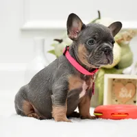 processed/86da4826-bd72-4e42-87f2-91581cd403c0/listing/6de8a510-cb22-4c4e-b5a5-2fa9f664b636/7c04dd34-8457-41cb-bb17-2f1b0494e5ea