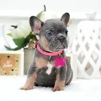 processed/86da4826-bd72-4e42-87f2-91581cd403c0/listing/6de8a510-cb22-4c4e-b5a5-2fa9f664b636/889a4990-9d6d-4071-a517-baf0682e192a