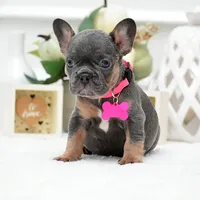 processed/86da4826-bd72-4e42-87f2-91581cd403c0/listing/6de8a510-cb22-4c4e-b5a5-2fa9f664b636/90da3dd0-72e4-4f09-8524-bcb5ed6c9084