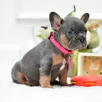 processed/86da4826-bd72-4e42-87f2-91581cd403c0/listing/6de8a510-cb22-4c4e-b5a5-2fa9f664b636/b0527175-33bb-4eb8-ac2c-a5dede288e3a