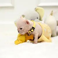 Puppy, a female French Bulldog for sale in Cumming, GA – Photo 3 of 8