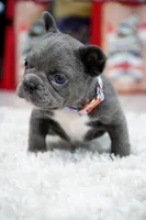 processed/86da4826-bd72-4e42-87f2-91581cd403c0/listing/fc3474ba-4da7-4f30-9422-0359ded9e1dc/09c730bb-73f5-4bc7-9492-ea6dad71a4be