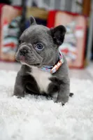 processed/86da4826-bd72-4e42-87f2-91581cd403c0/listing/fc3474ba-4da7-4f30-9422-0359ded9e1dc/211f1cfa-efd5-4cda-a6ec-40e02c2f415a