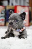 processed/86da4826-bd72-4e42-87f2-91581cd403c0/listing/fc3474ba-4da7-4f30-9422-0359ded9e1dc/7e24adf9-f9c4-44af-a46c-a257dc5264c5