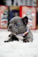 processed/86da4826-bd72-4e42-87f2-91581cd403c0/listing/fc3474ba-4da7-4f30-9422-0359ded9e1dc/7ea73ecd-b0aa-40ca-8879-2efa8ac56b74