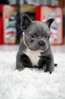 processed/86da4826-bd72-4e42-87f2-91581cd403c0/listing/fc3474ba-4da7-4f30-9422-0359ded9e1dc/911a75aa-6154-4ad1-acbc-310c4bc53608