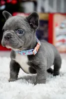 processed/86da4826-bd72-4e42-87f2-91581cd403c0/listing/fc3474ba-4da7-4f30-9422-0359ded9e1dc/b2b2ad91-d655-4ff2-8dae-b79d2f0d812f