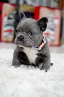 processed/86da4826-bd72-4e42-87f2-91581cd403c0/listing/fc3474ba-4da7-4f30-9422-0359ded9e1dc/d7e0b990-b64a-4f54-bd28-8c9571f70122