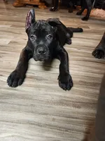 processed/86e1ba1f-af4f-463c-98c9-1c11634bfa43/listing/87eb0221-5bbe-498b-b746-cf393f68a914/b8af56c0-e191-42ce-9ea0-347680412102