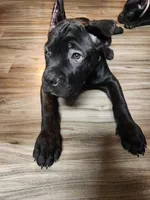 processed/86e1ba1f-af4f-463c-98c9-1c11634bfa43/listing/87eb0221-5bbe-498b-b746-cf393f68a914/e4051d4c-4800-46a0-9c48-9af7ac593795