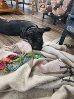 processed/86e1ba1f-af4f-463c-98c9-1c11634bfa43/listing/87eb0221-5bbe-498b-b746-cf393f68a914/fe54f2cb-f91a-4924-ab6e-15fa316f28eb