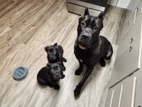 processed/86e1ba1f-af4f-463c-98c9-1c11634bfa43/listing/9292c059-3502-4b7e-82a8-54614101fdea/4229aa61-e902-499f-a8b2-19c23f11c725