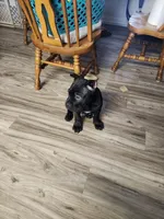 processed/86e1ba1f-af4f-463c-98c9-1c11634bfa43/listing/9292c059-3502-4b7e-82a8-54614101fdea/7cb4278c-c5d8-43f8-8bbf-2dd8ee0d348a