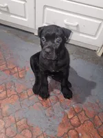 processed/86e1ba1f-af4f-463c-98c9-1c11634bfa43/listing/9292c059-3502-4b7e-82a8-54614101fdea/8ca4e496-68b3-466d-8dd3-1d0126a9d3df