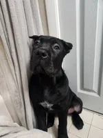 processed/86e1ba1f-af4f-463c-98c9-1c11634bfa43/listing/9292c059-3502-4b7e-82a8-54614101fdea/a2670722-c535-480f-bfe3-f658060d6571