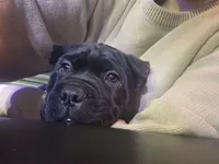 processed/86e1ba1f-af4f-463c-98c9-1c11634bfa43/listing/9292c059-3502-4b7e-82a8-54614101fdea/c88ea3ad-1cfd-475f-a028-9322ede1d400