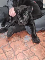 processed/86e1ba1f-af4f-463c-98c9-1c11634bfa43/listing/9292c059-3502-4b7e-82a8-54614101fdea/fe38b848-46a8-4fd2-922d-145e66d1896d