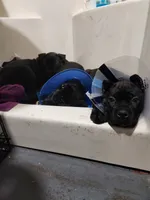 processed/86e1ba1f-af4f-463c-98c9-1c11634bfa43/listing/c684aa00-7e7e-4ede-ae16-9ce1f0d42ff8/7df2bfcb-1bcb-4785-856d-2ba13deefe54