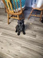 processed/86e1ba1f-af4f-463c-98c9-1c11634bfa43/listing/c684aa00-7e7e-4ede-ae16-9ce1f0d42ff8/93ff0d94-c39e-4aae-a7cf-c81d11bb3de3