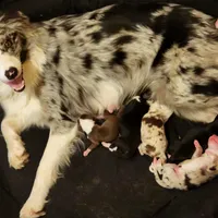 processed/86e26fb0-c760-44cf-8296-77418c551a88/facility/211bde3e-fd31-420e-9b7c-9681373e51d2