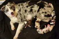 processed/86e26fb0-c760-44cf-8296-77418c551a88/facility/211bde3e-fd31-420e-9b7c-9681373e51d2