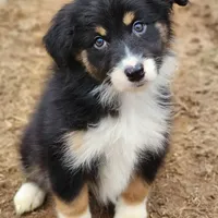 processed/86e26fb0-c760-44cf-8296-77418c551a88/facility/317b80bb-ec65-441a-9a68-1ada07d1acc3