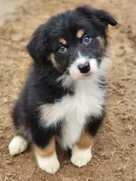 processed/86e26fb0-c760-44cf-8296-77418c551a88/facility/317b80bb-ec65-441a-9a68-1ada07d1acc3