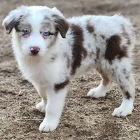 processed/86e26fb0-c760-44cf-8296-77418c551a88/facility/6fed2b3f-8f75-411a-b36c-925d04965d94