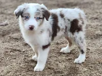 processed/86e26fb0-c760-44cf-8296-77418c551a88/facility/6fed2b3f-8f75-411a-b36c-925d04965d94