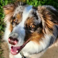 processed/86e26fb0-c760-44cf-8296-77418c551a88/facility/70522d86-c21a-44db-8742-5d68cddda32f