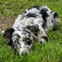 processed/86e26fb0-c760-44cf-8296-77418c551a88/facility/84aeb1bc-ebbf-4ce9-a622-8be2f3c4adb5