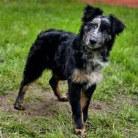 processed/86e26fb0-c760-44cf-8296-77418c551a88/facility/aa4faeed-5a44-4f0b-bfe7-42401ef35b04