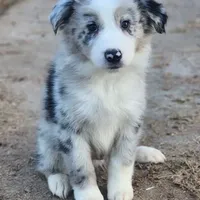 processed/86e26fb0-c760-44cf-8296-77418c551a88/facility/bcb39ce5-f4f2-497c-a056-b1ea8e0ee5d8