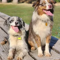 processed/86e26fb0-c760-44cf-8296-77418c551a88/facility/bd80fa74-f96d-42a1-a965-a7a534d6e962