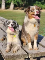 processed/86e26fb0-c760-44cf-8296-77418c551a88/facility/bd80fa74-f96d-42a1-a965-a7a534d6e962