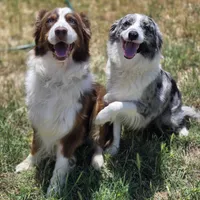 processed/86e26fb0-c760-44cf-8296-77418c551a88/facility/f28681e8-923e-45b1-bde6-7db544f7ab4d