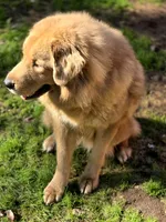 processed/86e26fb0-c760-44cf-8296-77418c551a88/listing/36391410-99ef-4bac-8189-2a088d79d23d/380ab26d-ff71-47c9-b084-6ec3e4d714b5