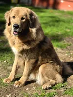 processed/86e26fb0-c760-44cf-8296-77418c551a88/listing/36391410-99ef-4bac-8189-2a088d79d23d/4e71726f-f6c5-4e47-8dca-f01d08e05801