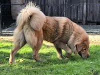 processed/86e26fb0-c760-44cf-8296-77418c551a88/listing/36391410-99ef-4bac-8189-2a088d79d23d/9f779cbb-d857-4c76-9f5d-85cc17efcd3f