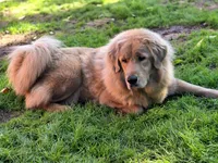 processed/86e26fb0-c760-44cf-8296-77418c551a88/listing/36391410-99ef-4bac-8189-2a088d79d23d/a2372fae-c2b8-4d09-a6ad-3f3b288fc999