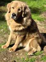 processed/86e26fb0-c760-44cf-8296-77418c551a88/listing/36391410-99ef-4bac-8189-2a088d79d23d/ae8e3228-42de-4860-9f70-187f075f1907