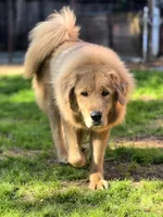 processed/86e26fb0-c760-44cf-8296-77418c551a88/listing/36391410-99ef-4bac-8189-2a088d79d23d/de15b37f-cfe8-4d3b-ba07-45fb1b73b390