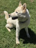 processed/86e26fb0-c760-44cf-8296-77418c551a88/listing/fde97181-3031-4336-96b7-f78886522e9e/23f1621b-9fb2-4226-b507-4d0f362185ab