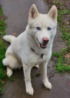 processed/86e26fb0-c760-44cf-8296-77418c551a88/listing/fde97181-3031-4336-96b7-f78886522e9e/40cbf5b5-105f-4cc6-b1d9-6385c0bb6adf